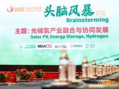 新年展新“綠”，“綠電”制氫加速！ SNEC氫能產業聯盟2022(第一季度)頭腦風暴隆重舉行