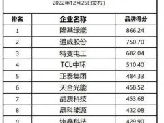 隆基綠能斬獲全球光伏品牌兩項(xiàng)第一