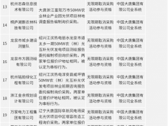 208家企業被永久拉黑!17家企業取消參與資格2-3年!大唐光伏供應商黑名單公布(1-10批)!