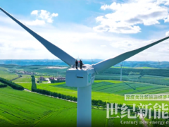 十年風場葉片質量問題爆雷，上億損失誰來埋單？