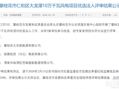 這家企業中選！四川100MW風電項目指標