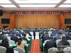 助力重慶儲能再邁新臺階丨海辰儲能王鵬程在渝民營企業座談會作交流發言