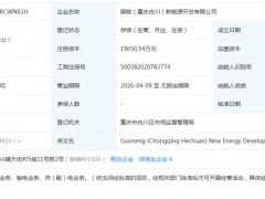 國家能源集團成立新能源開發公司
